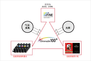 ChromaLife100+ - 缔造照片持久美丽